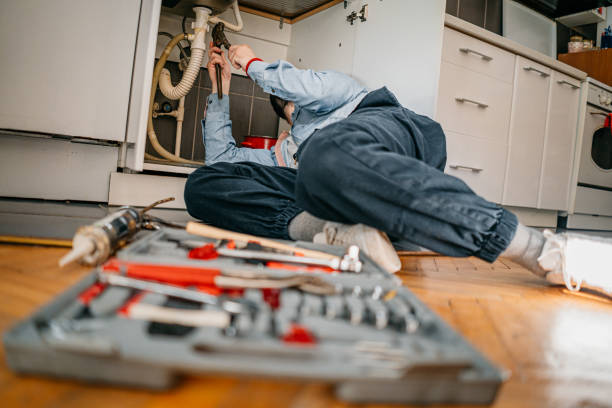 Best Plumbing Services Near Me  in Howard City, MI