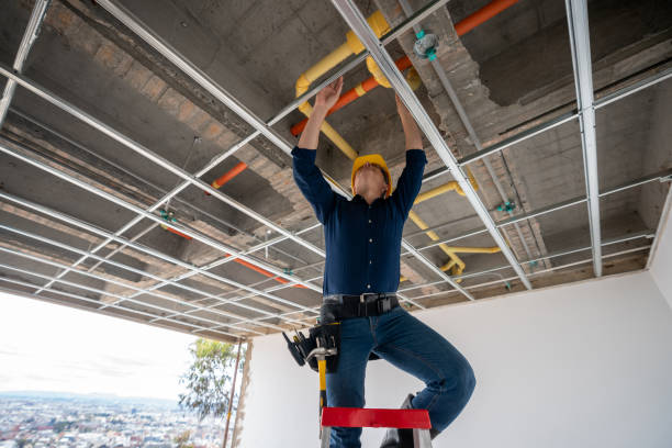 Best Local Plumber Services  in Howard City, MI